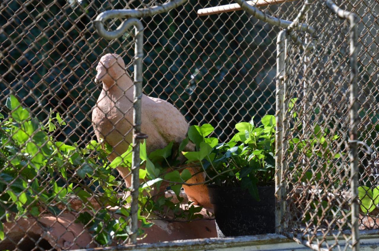 La Petite Aiguebonne Bed & Breakfast Allex Bagian luar foto